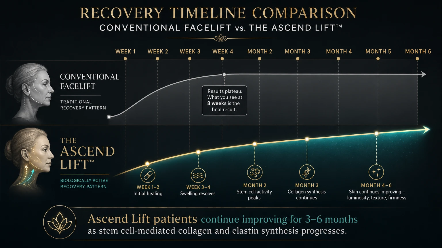 Recovery timeline comparison: Conventional facelift plateaus at 8 weeks vs The Ascend Lift continues improving through 6 months with stem cell-mediated collagen and elastin synthesis